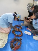 /album/%e3%83%93%e3%83%bc%e3%83%90%e3%83%bc%e9%9a%8a%ef%bc%9a%ef%bc%92%ef%bc%90%ef%bc%91%ef%bc%99%e5%b9%b4%e5%ba%a6/img-4078-jpg/