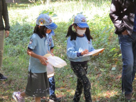 2022.11.6 公園の中で、木の葉を探しました。